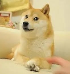 Dogecoin kabosu