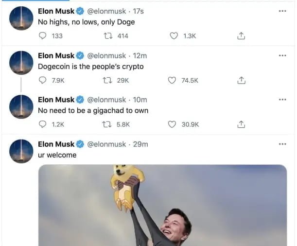 Elon Musk Tweet About Dogecoin
