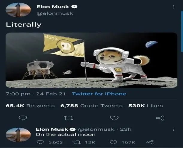 Elon Mask Talks about Dogecoin