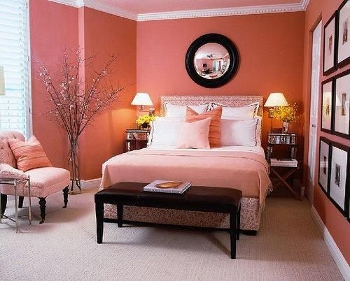 Suitable Coloring Idea For Your Home - Coral